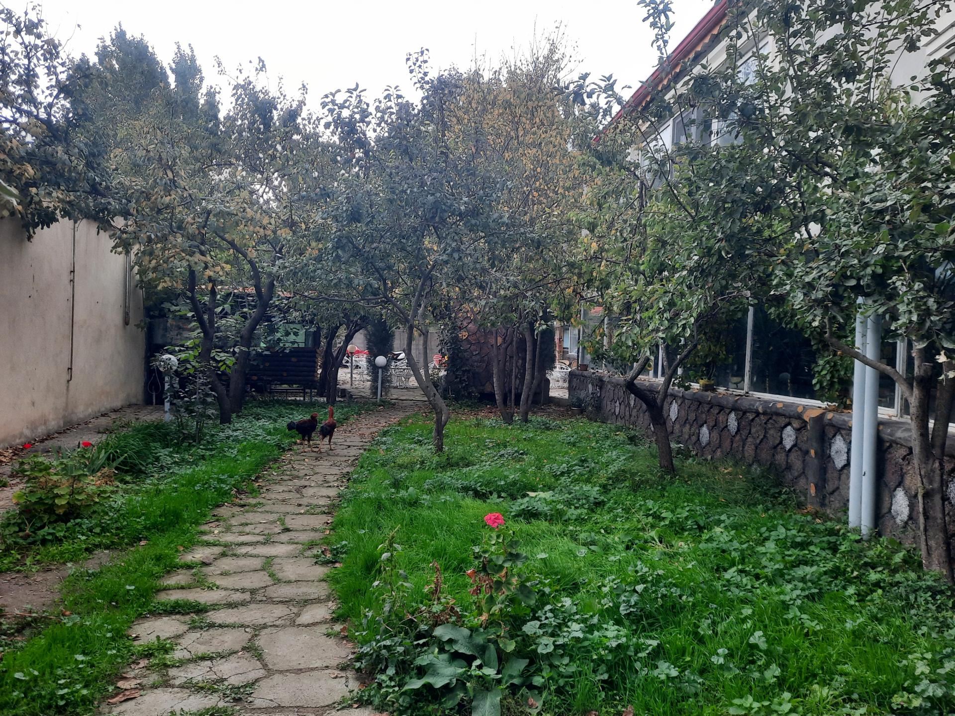 عکس سفره خانه عمو قادر