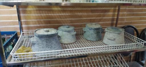 عکس دیزی بردستانی