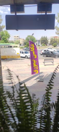 عکاسی تیموری