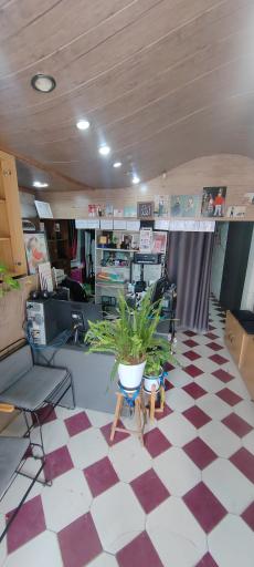 عکاسی تیموری