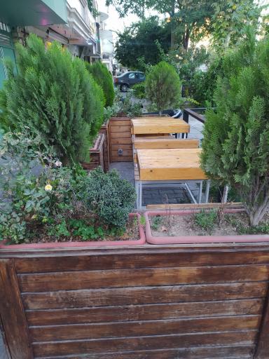 عکس آبمیوه پاپایا