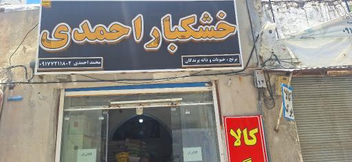 عکس خشکبار  احمدی