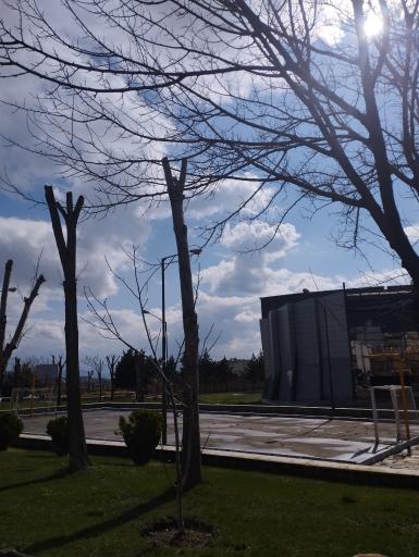 عکس اردوگاه امام علی (ع) کمیته امداد