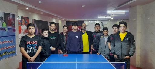 عکس آکادمی تخصصی تنیس روی میز ابراهیمیان 