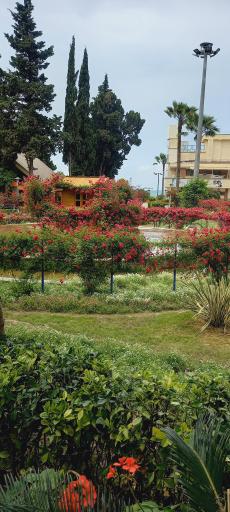 عکس شهرک دریاکنار