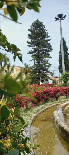 عکس شهرک دریاکنار