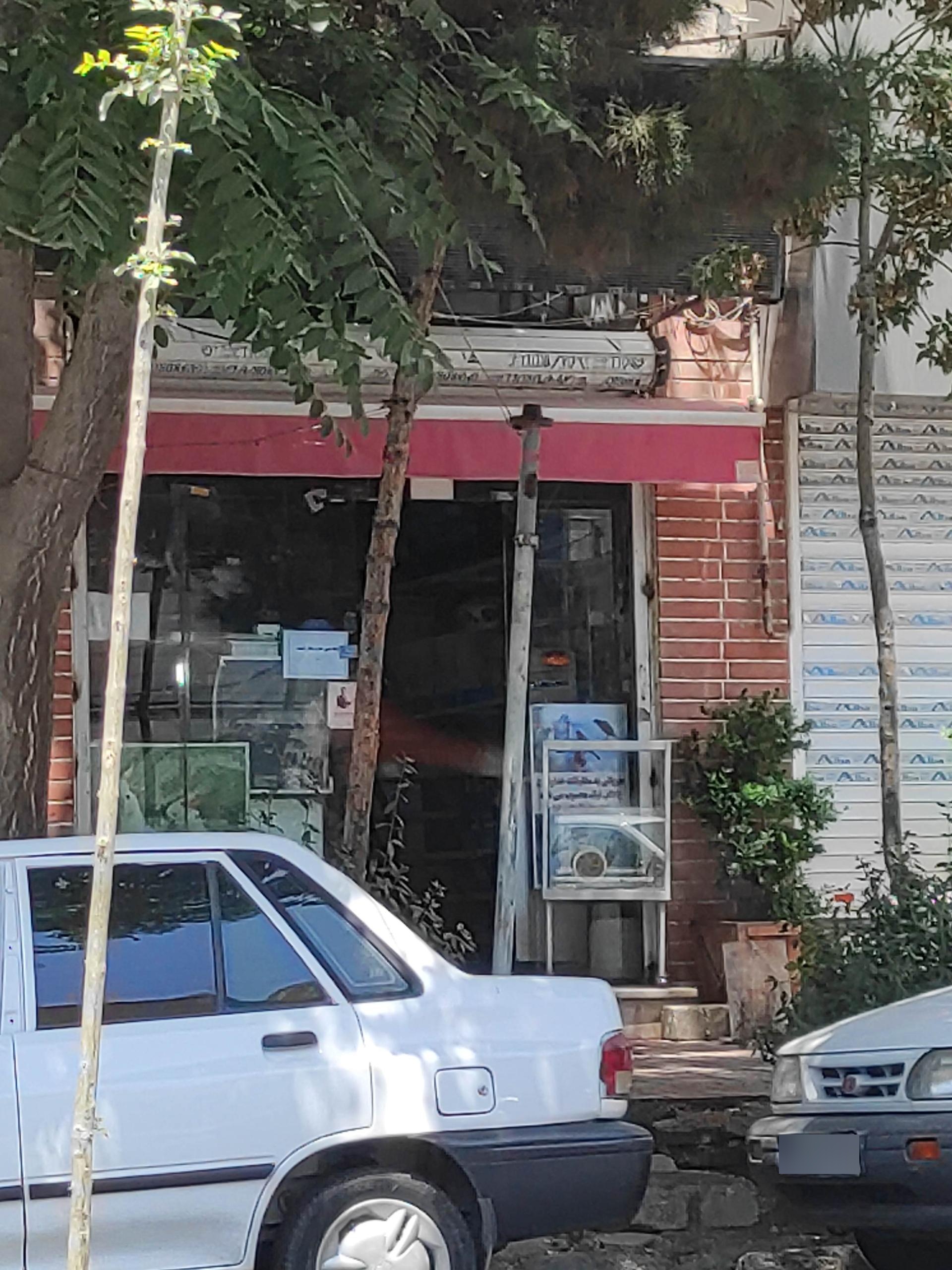 عکس پرنده فروشی 