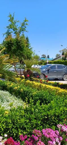 عکس شهرک دریاکنار