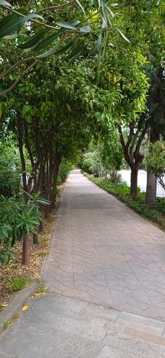 عکس شهرک دریاکنار