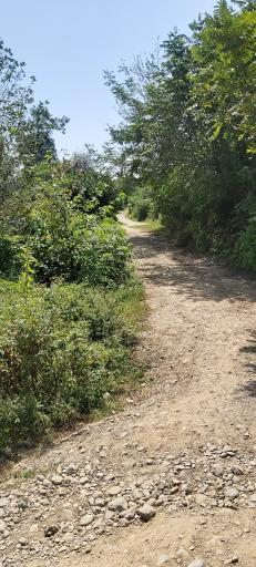 عکس پل رودخانه پیرهرات