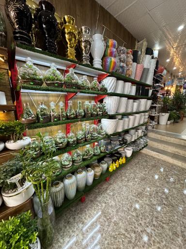 عکس فروشگاه گل لاله