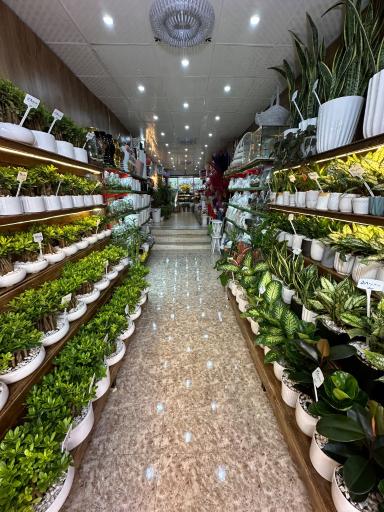 عکس فروشگاه گل لاله
