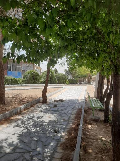 عکس فضای سبز