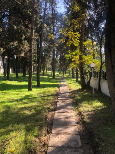 عکس شهرک دریاکنار