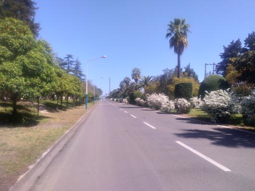 عکس شهرک دریاکنار