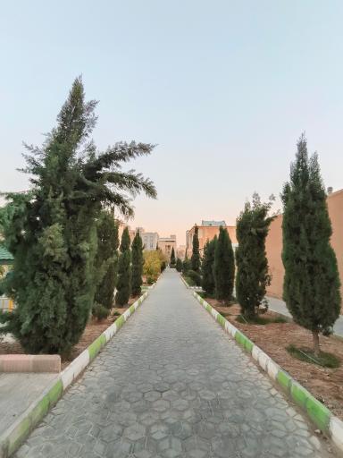 عکس بوستان نیلوفر