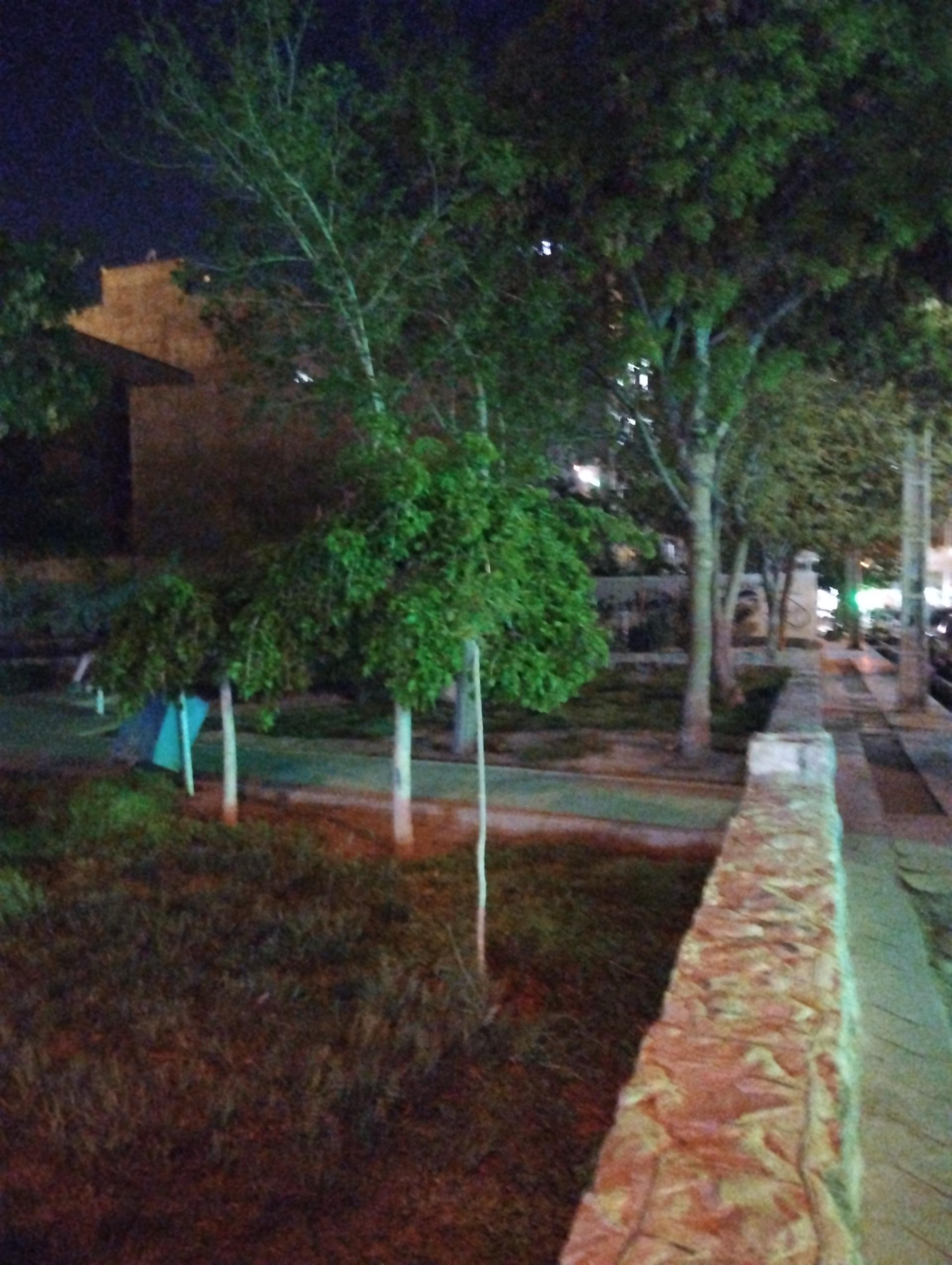 عکس پارک بهشتی