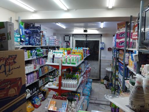 شوینده و بهداشتی یاران