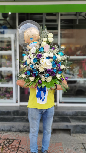 عکس گل ویولا