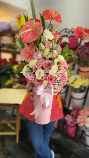 عکس گل ویولا