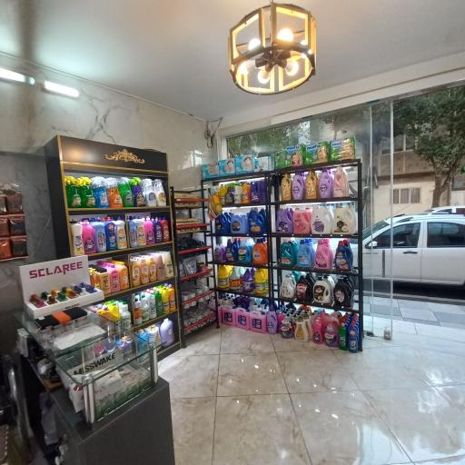 عکس شوینده بهداشتی پاک لند