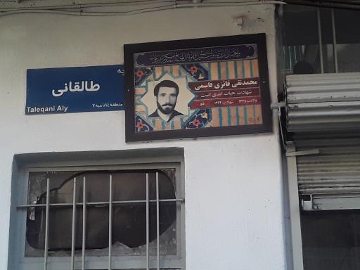 عکس صحراسرویس 