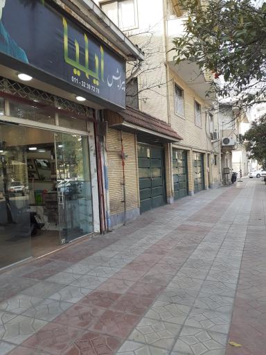 عکس پیرایشگاه ایلیا