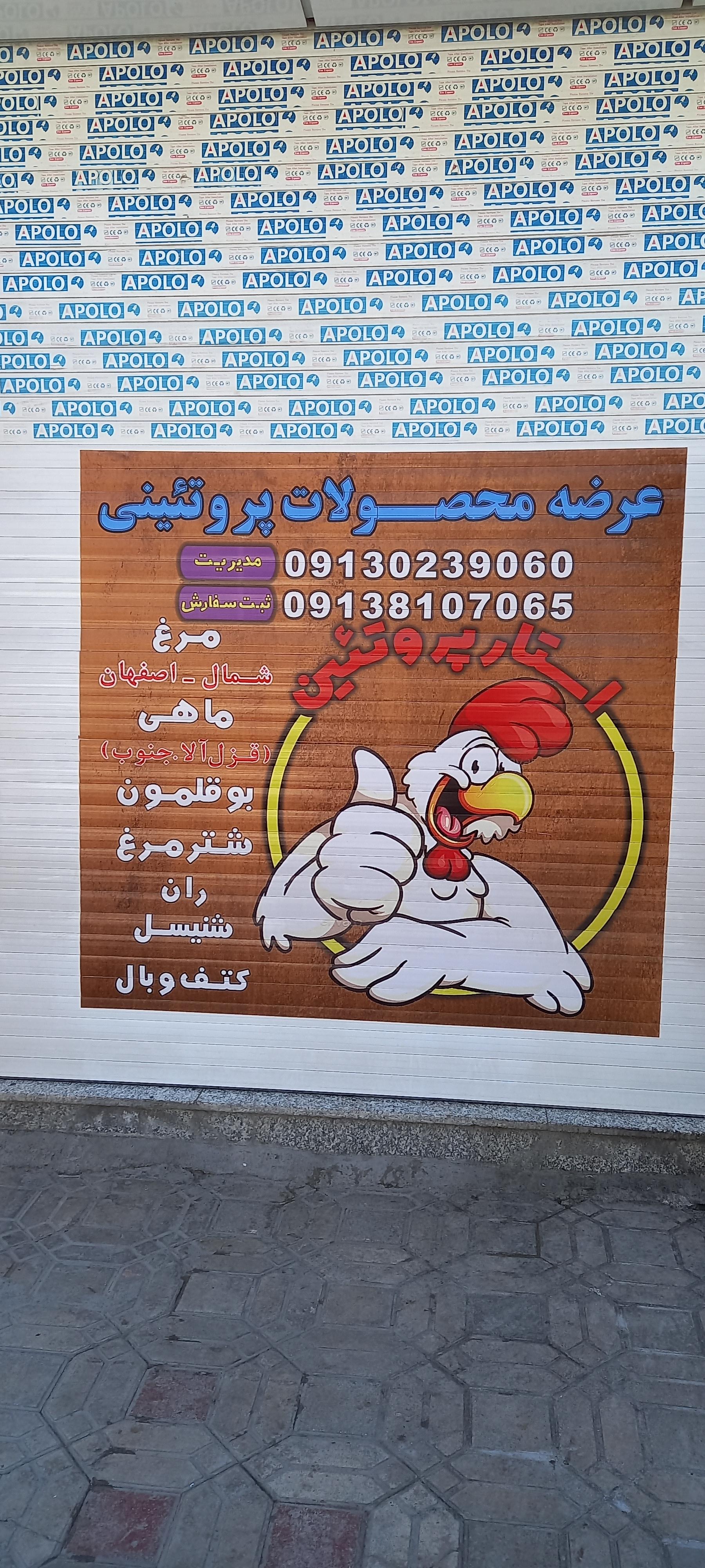 عکس مرغ و ماهی عابدی