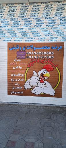 عکس مرغ و ماهی عابدی