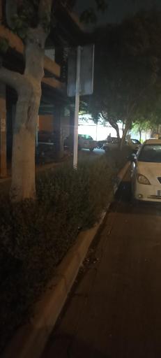 عکس تربیت معلم