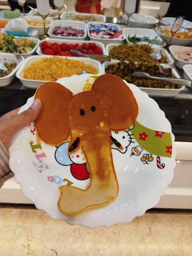 عکس هتل مدینه الرضا مشهد