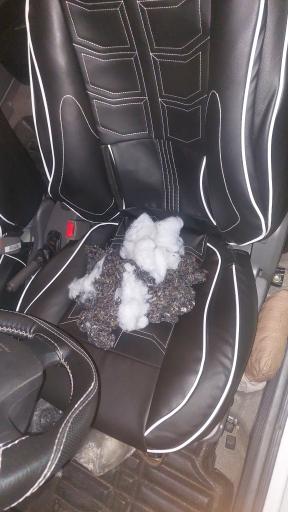 عکس روکش مرکزی بیاتی