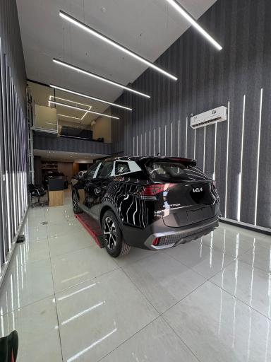 عکس کارشناسی رنگ و دیتیلینگ حافظ