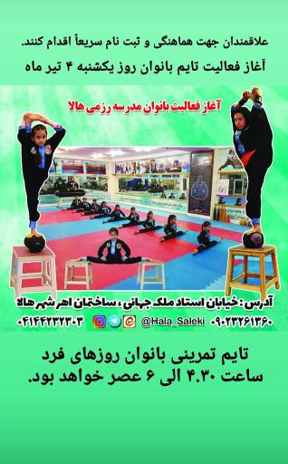 عکس مدرسه رزمی هالا