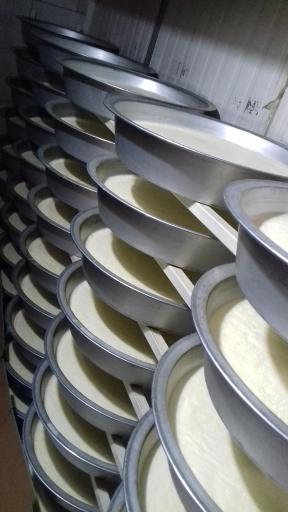 عکس لبنیات عبدی 