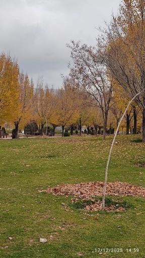 عکس دریاچه مصنوعی اکو پارک صدرا