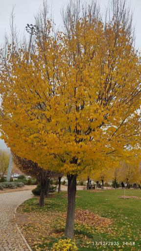 عکس دریاچه مصنوعی اکو پارک صدرا