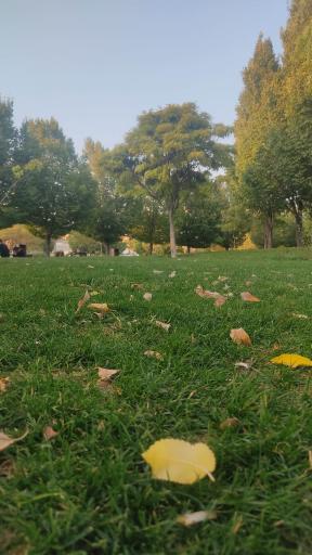 عکس دریاچه مصنوعی اکو پارک صدرا