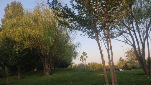 عکس دریاچه مصنوعی اکو پارک صدرا