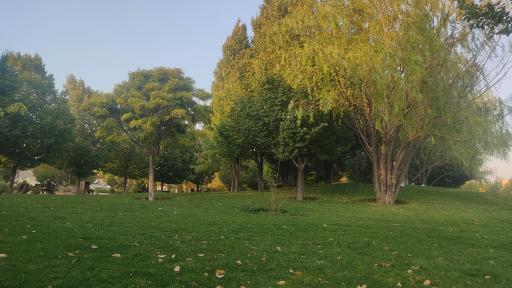 عکس دریاچه مصنوعی اکو پارک صدرا