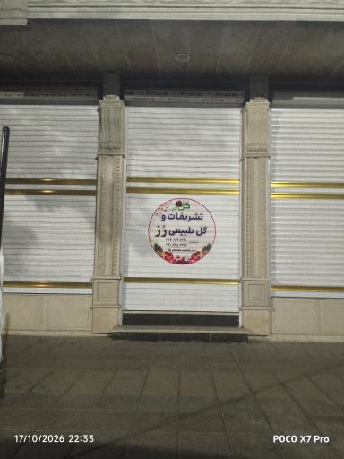 عکس گل فروشی رز