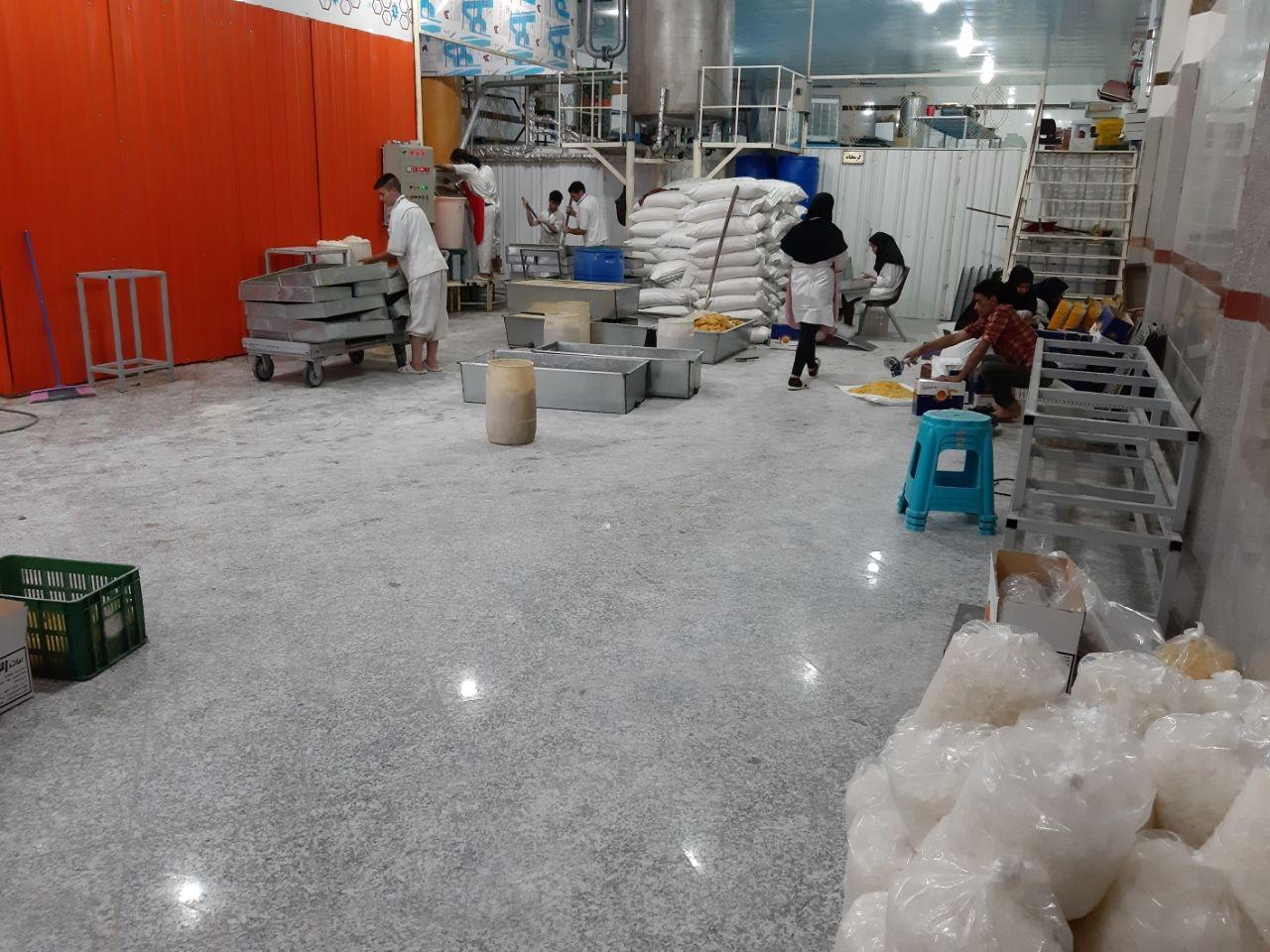 عکس نبات ۱۲۱