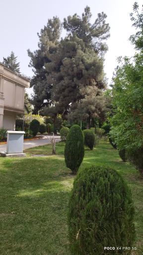 عکس مهمانسرای برق منطقه ای خراسان