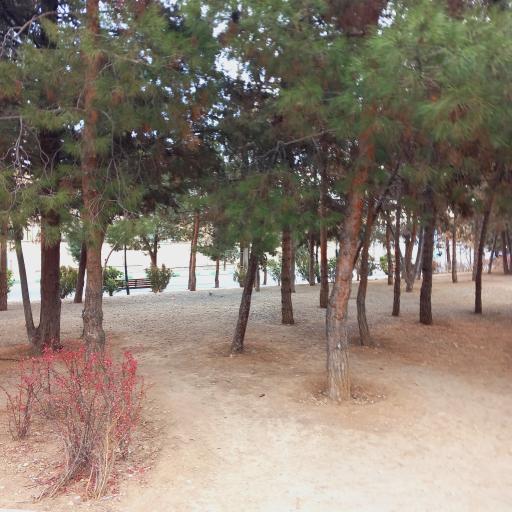 عکس بوستان سیما