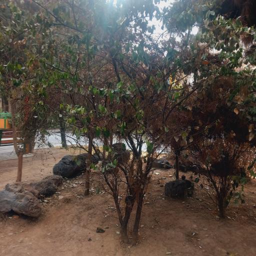 عکس بوستان سیما