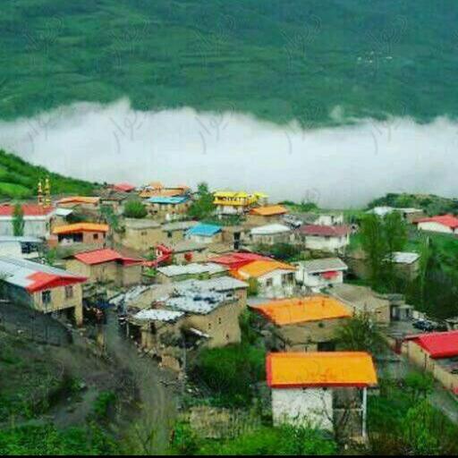 عکس رضی