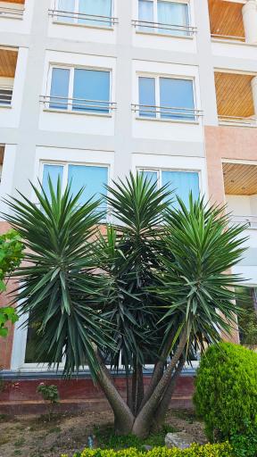 عکس مجتمع مسکونی بلاژیو