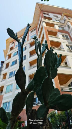 عکس مجتمع مسکونی بلاژیو