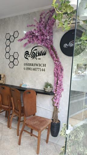 عکس سیبری ویچ