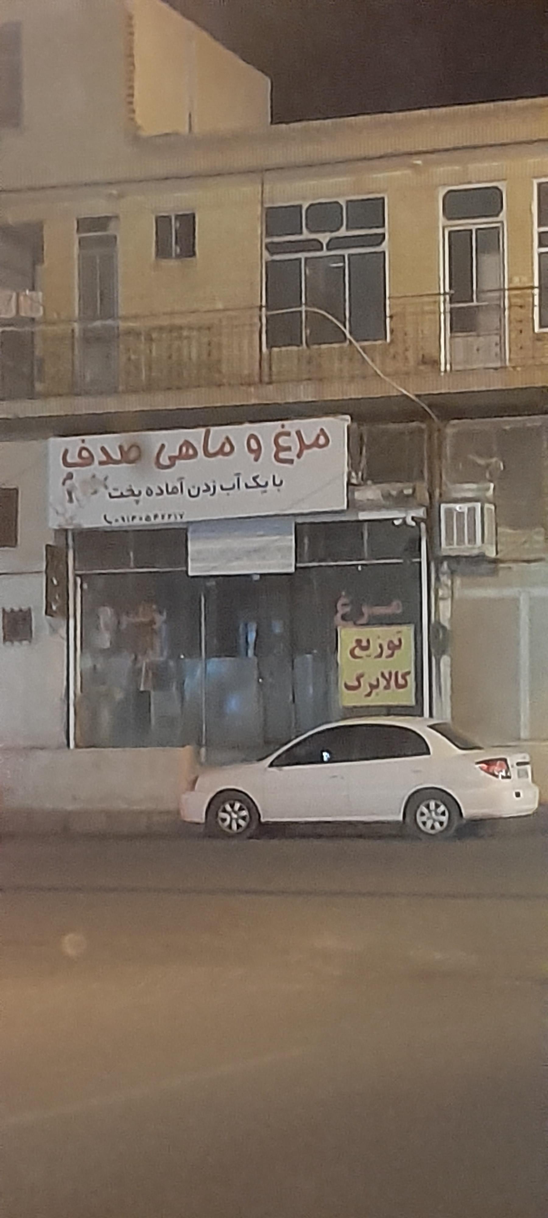 عکس مرغ و ماهی صدف